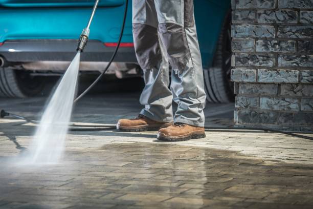 Best Winterizing Services  in Fabens, TX