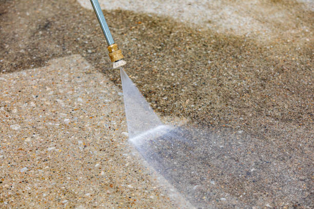 Best Restaurant Pressure Washing  in Fabens, TX